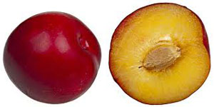 Plum